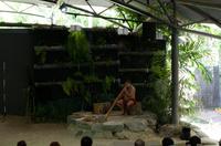 Regenwald-Seilbahn und Aboriginies