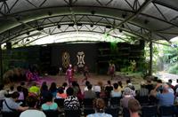 Regenwald-Seilbahn und Aboriginies