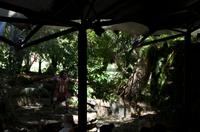 Regenwald-Seilbahn und Aboriginies