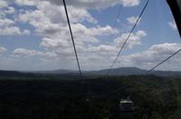 Regenwald-Seilbahn und Aboriginies