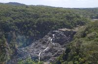 Regenwald-Seilbahn und Aboriginies