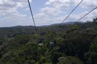 Regenwald-Seilbahn und Aboriginies