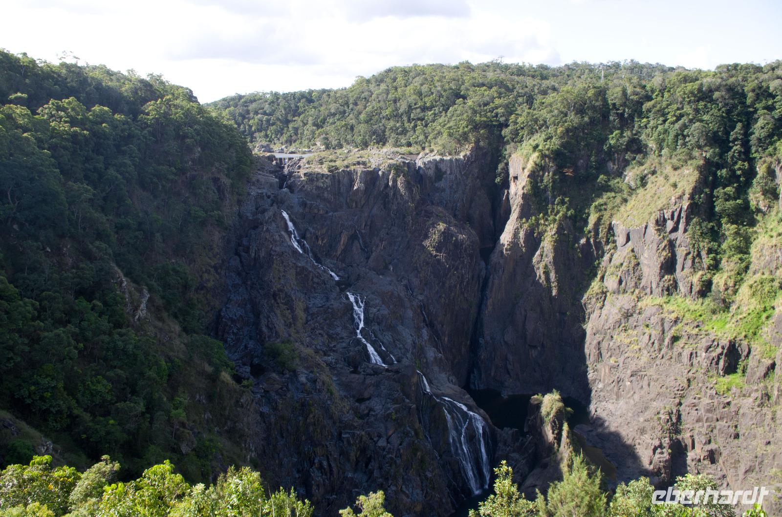 Regenwald-Seilbahn und Aboriginies
