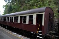 Regenwald-Seilbahn und Aboriginies