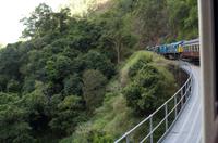 Regenwald-Seilbahn und Aboriginies