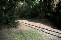 Regenwald-Seilbahn und Aboriginies