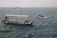 Ausflug zum Great Barrier Reef