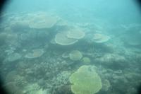 Ausflug zum Great Barrier Reef