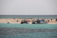 Ausflug zum Great Barrier Reef
