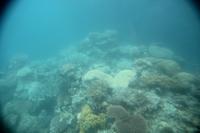 Ausflug zum Great Barrier Reef