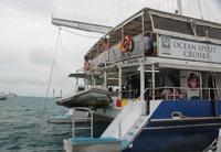 Ausflug zum Great Barrier Reef