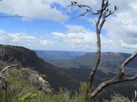 Blue Mountains