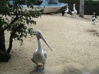 Featherdale Wildlife Park