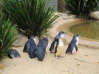 Featherdale Wildlife Park