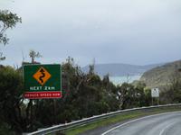 Great Ocean Road