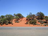 Fahrt zum Ayers Rock