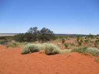 Fahrt zum Ayers Rock