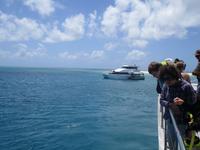Ausflug zum Great Barrier Reef