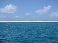 Ausflug zum Great Barrier Reef