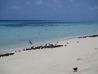 Ausflug zum Great Barrier Reef