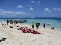 Ausflug zum Great Barrier Reef