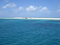 Ausflug zum Great Barrier Reef