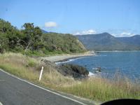 Tag im Daintree Nationalpark