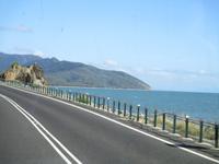 Tag im Daintree Nationalpark