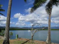 Tag im Daintree Nationalpark