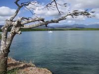 Tag im Daintree Nationalpark