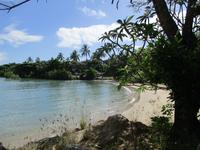 Tag im Daintree Nationalpark