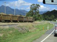Tag im Daintree Nationalpark