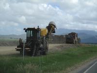Tag im Daintree Nationalpark
