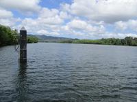 Tag im Daintree Nationalpark