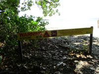 Tag im Daintree Nationalpark