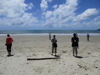 Tag im Daintree Nationalpark