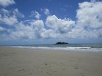 Tag im Daintree Nationalpark