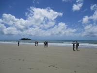 Tag im Daintree Nationalpark