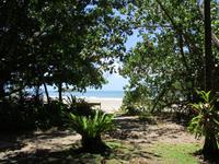 Tag im Daintree Nationalpark