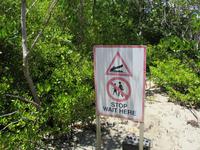 Tag im Daintree Nationalpark