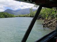 Tag im Daintree Nationalpark