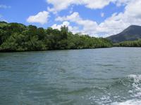 Tag im Daintree Nationalpark