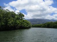 Tag im Daintree Nationalpark