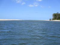 Tag im Daintree Nationalpark