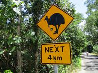 Tag im Daintree Nationalpark