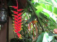 Tag im Daintree Nationalpark