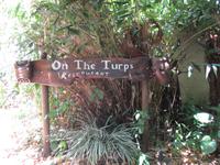 Tag im Daintree Nationalpark