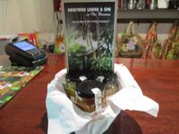 Tag im Daintree Nationalpark