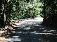 Tag im Daintree Nationalpark