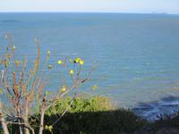 Tag im Daintree Nationalpark